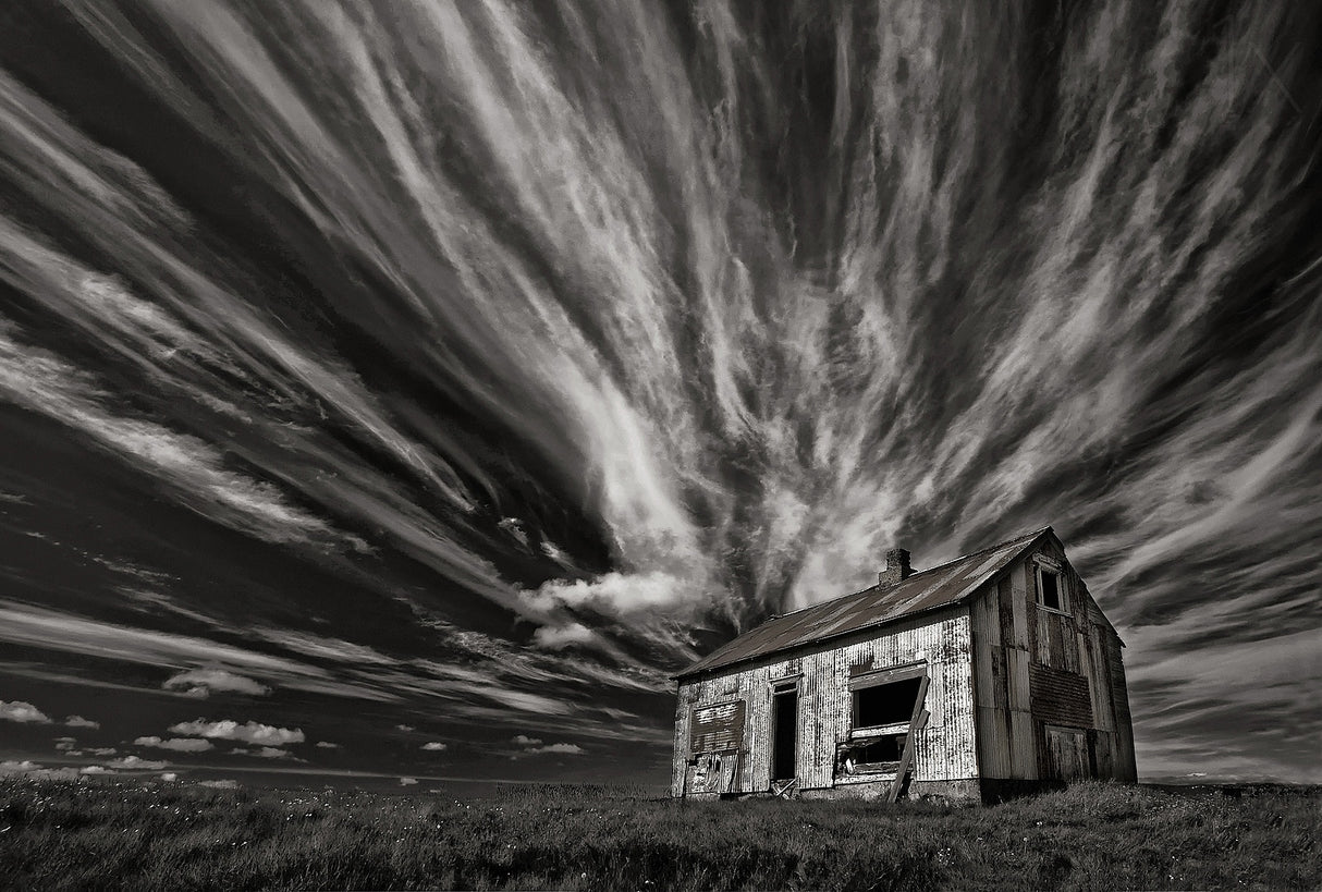 Cabin (mono) Poster och Canvastavla