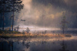 Misty Moment Poster och Canvastavla
