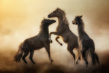 Show your courage, destiny’s time is here.... Poster och Canvastavla
