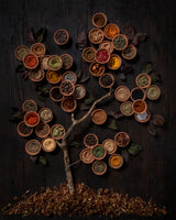 Tree of spice Poster och Canvastavla