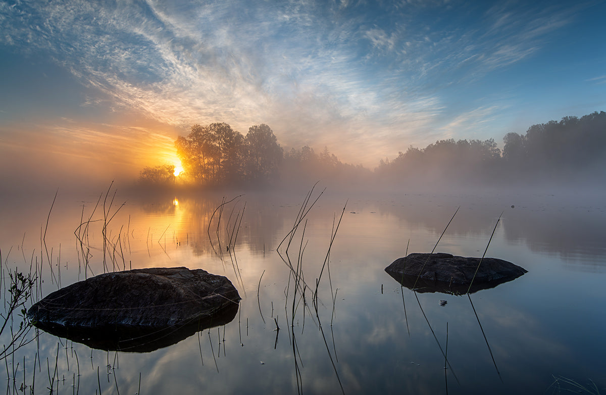 Morning sun Poster och Canvastavla