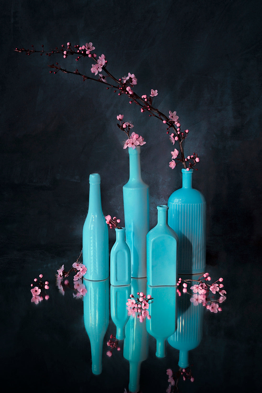 Sign of Spring Poster och Canvastavla