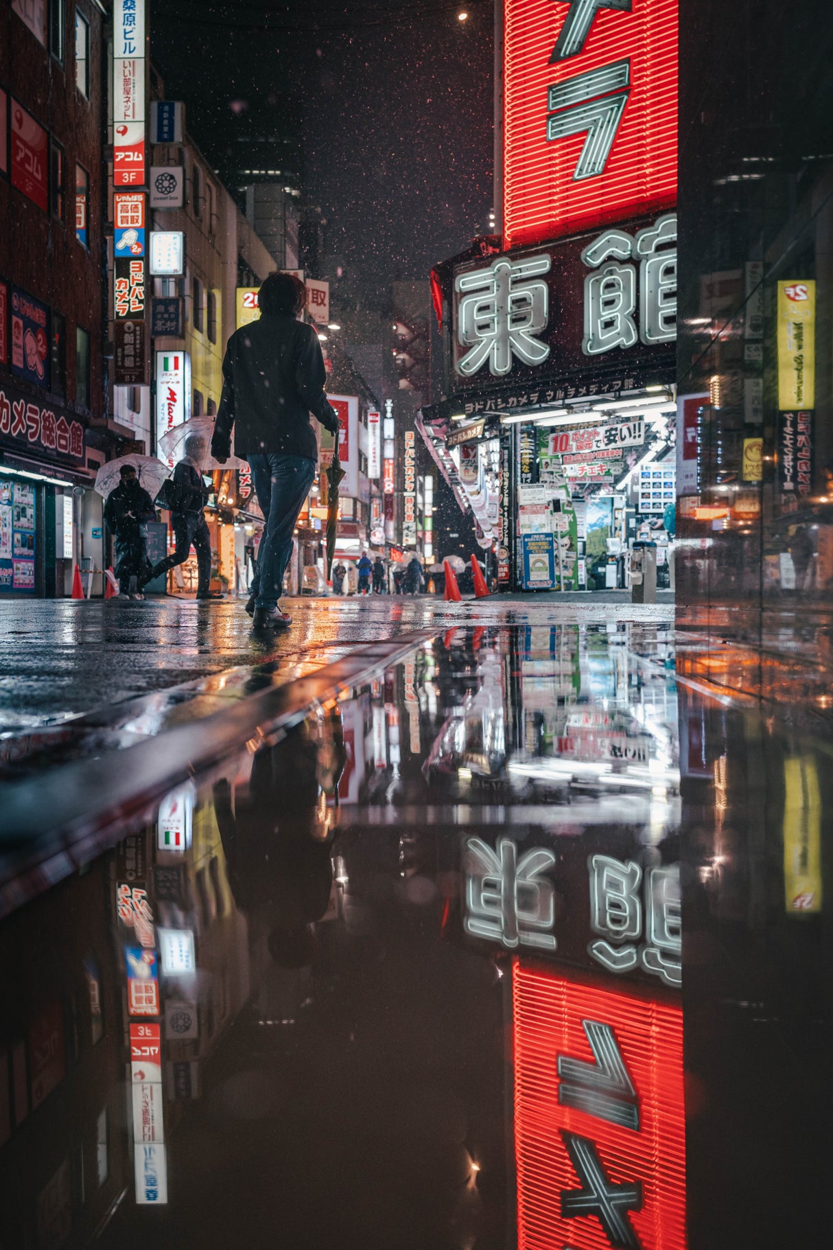 Snowy Shinjuku Poster och Canvastavla