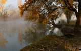 Autumn misty morning with a lone fisherman Poster och Canvastavla