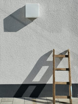 lamp and ladder Poster och Canvastavla