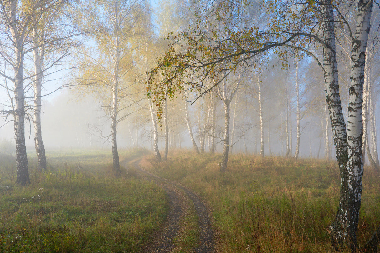autumn mood Poster och Canvastavla