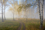 autumn mood Poster och Canvastavla