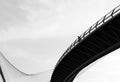 curved Poster och Canvastavla