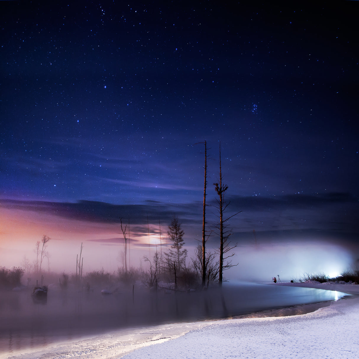 A winter night Poster och Canvastavla