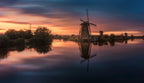 Windmills Poster och Canvastavla