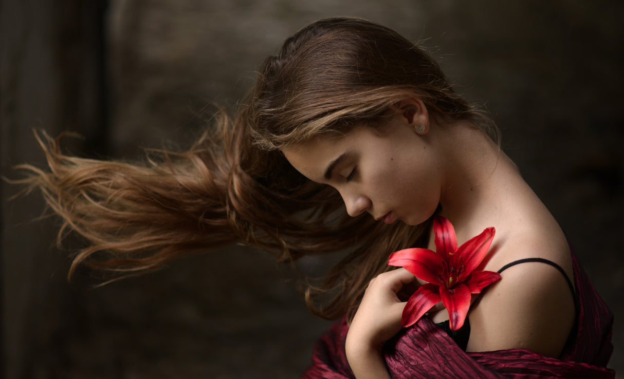 red lily Poster och Canvastavla