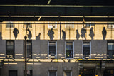 Shadow Puppets Poster och Canvastavla