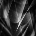 Shadows &amp; edges … Poster och Canvastavla