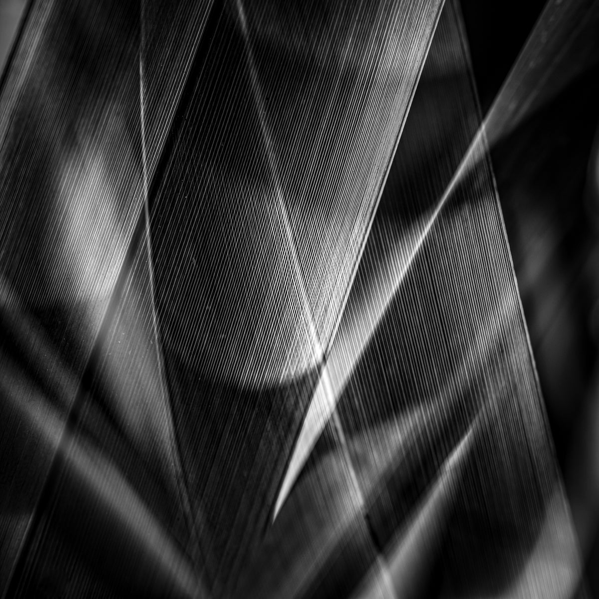 Shadows &amp; edges … Poster och Canvastavla