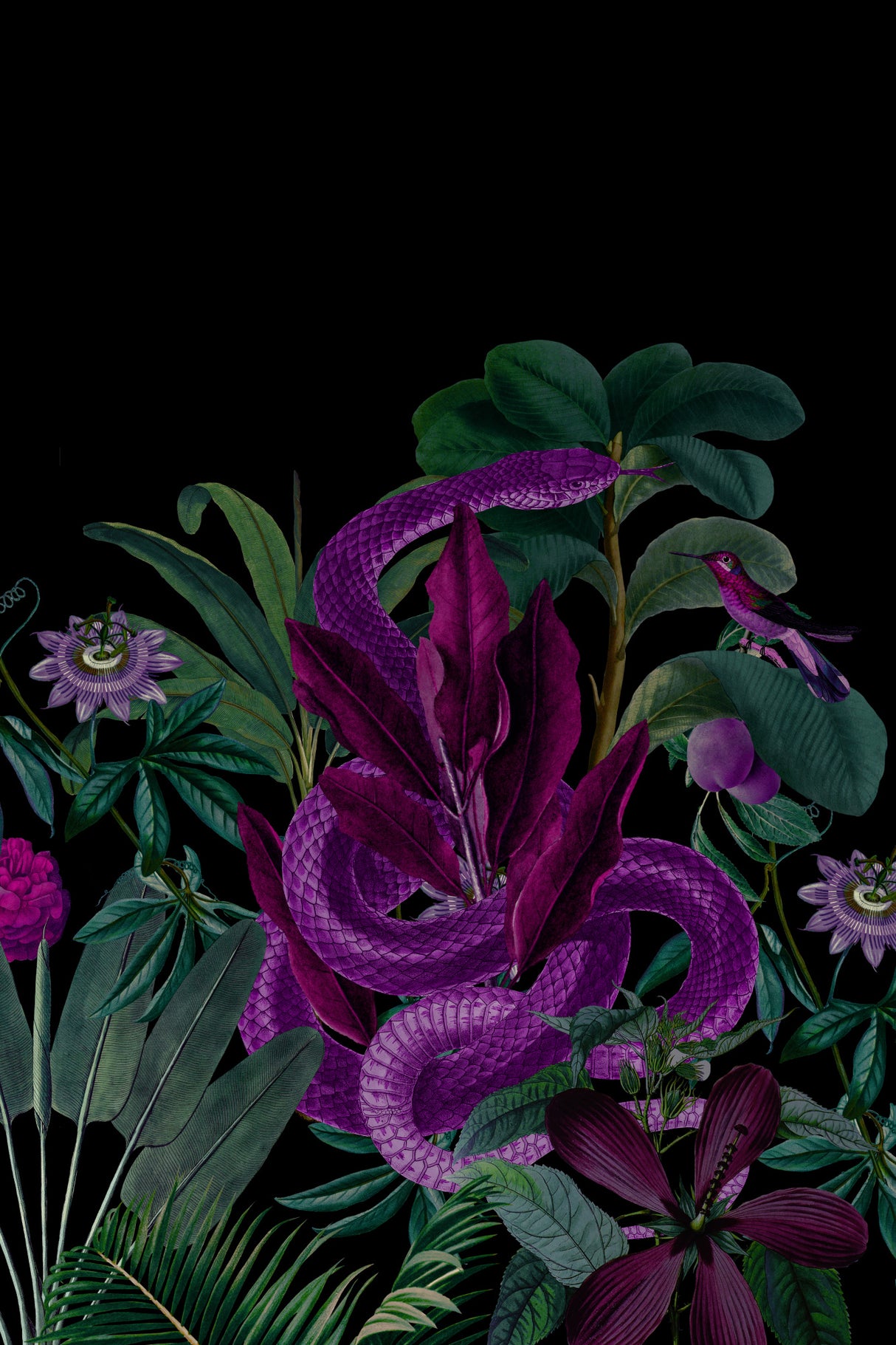 Midnight Jungle Snake Poster och Canvastavla