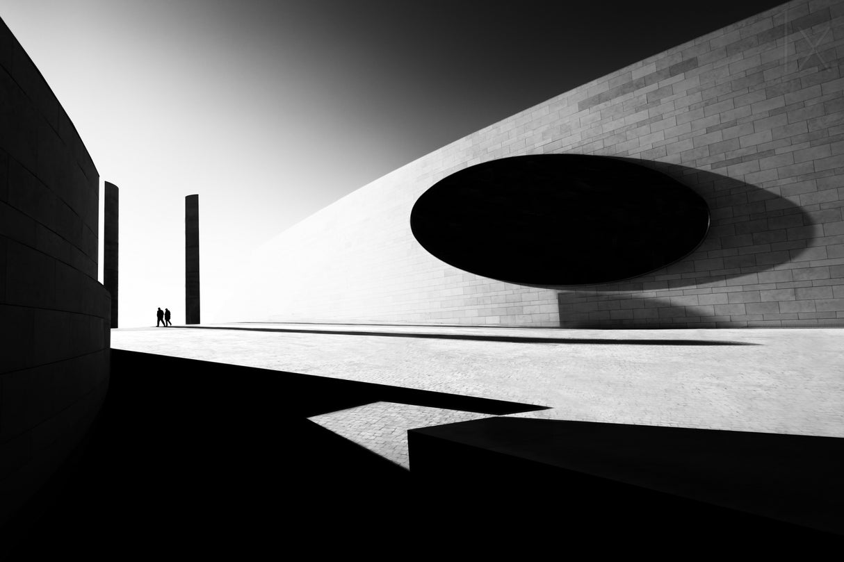 B&amp;W Harmony Poster och Canvastavla