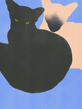 Siamese Cat Poster och Canvastavla