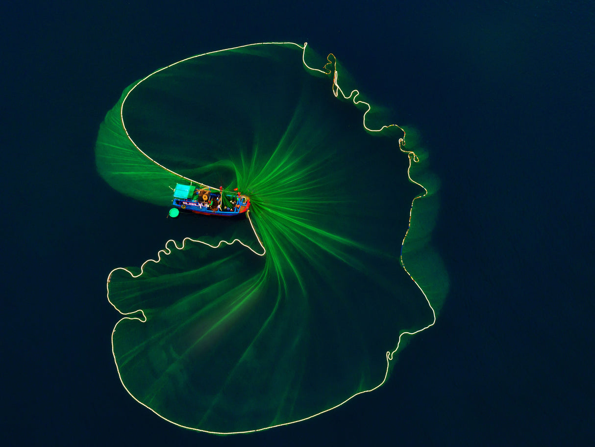 Lotus leaf on the sea Poster och Canvastavla