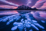 Abraham Lake 3 Poster och Canvastavla