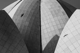 Lotus temple   .. different strokes Poster och Canvastavla