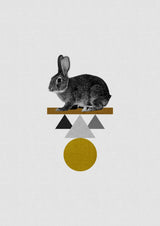 Tribal Rabbit Poster och Canvastavla