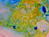 abstract acrylic colors Poster och Canvastavla