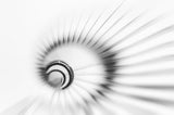 Whirl Poster och Canvastavla