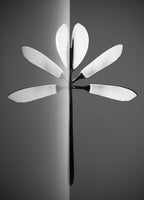 Dragonfly Poster och Canvastavla
