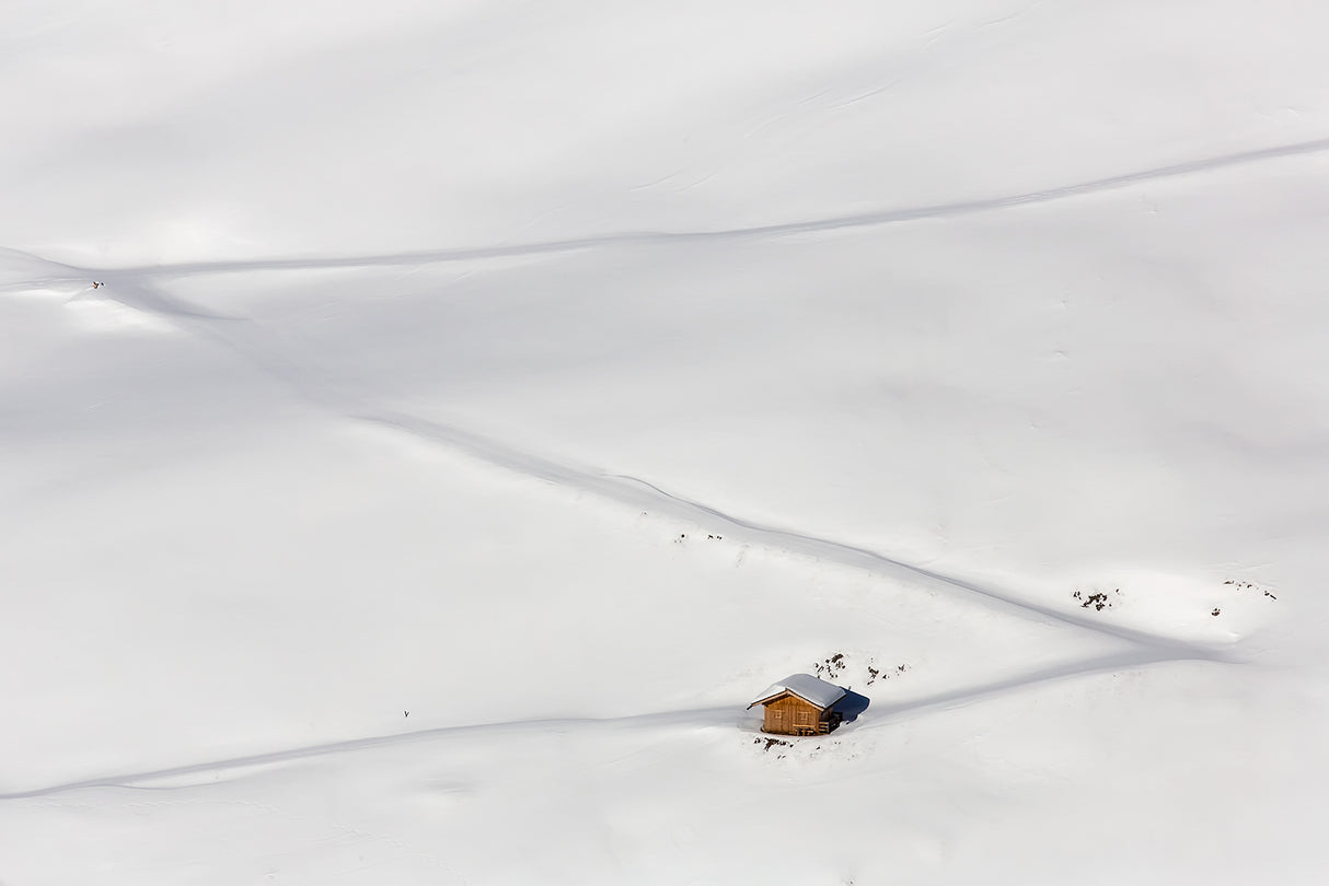 lost in the snow Poster och Canvastavla