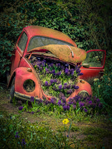 Nature will find a way Poster och Canvastavla