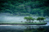 Kakumanbuchi Marsh Poster och Canvastavla