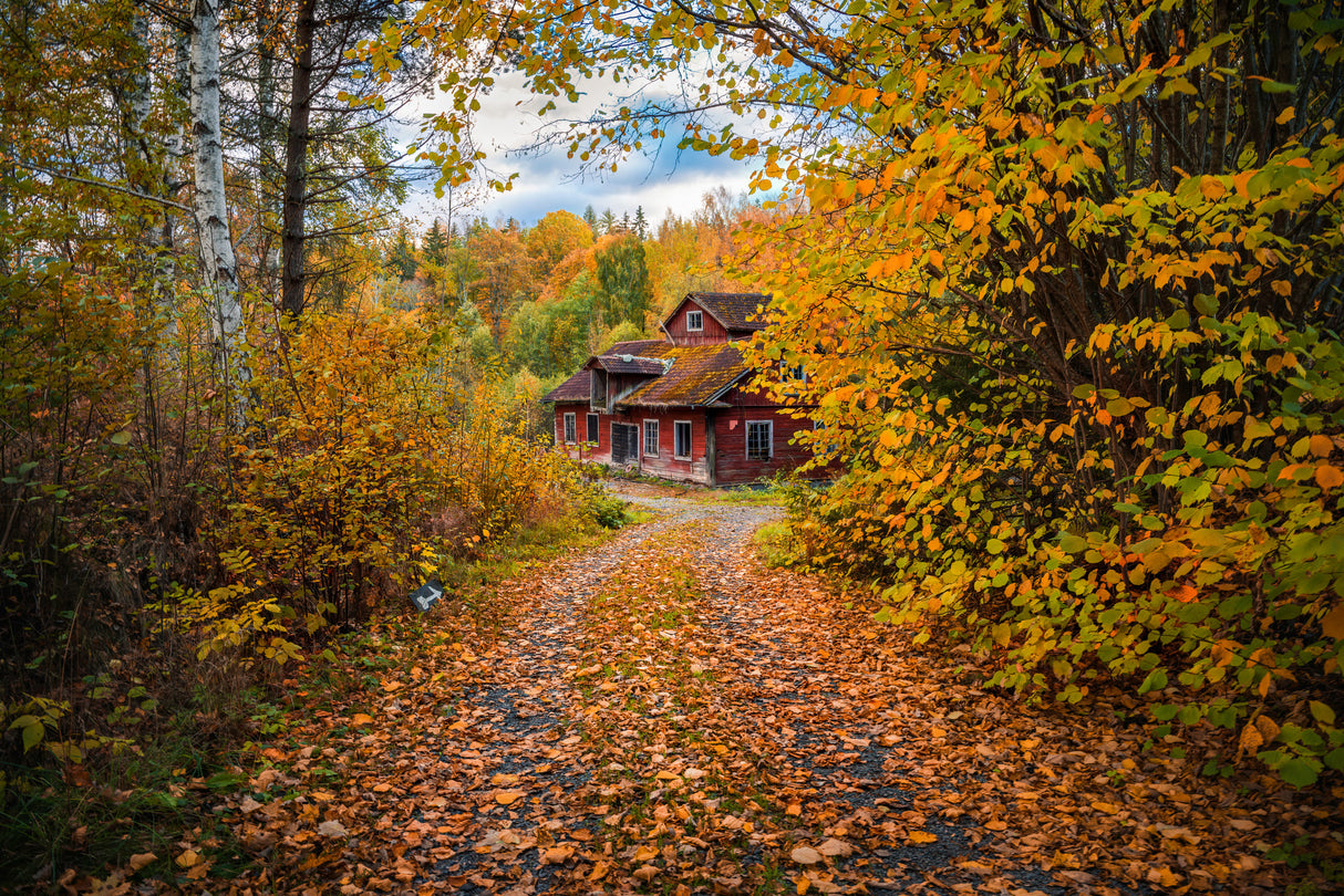 Old mill surrounded by autumn colors Poster och Canvastavla