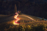 Heart of Slovenia Poster och Canvastavla