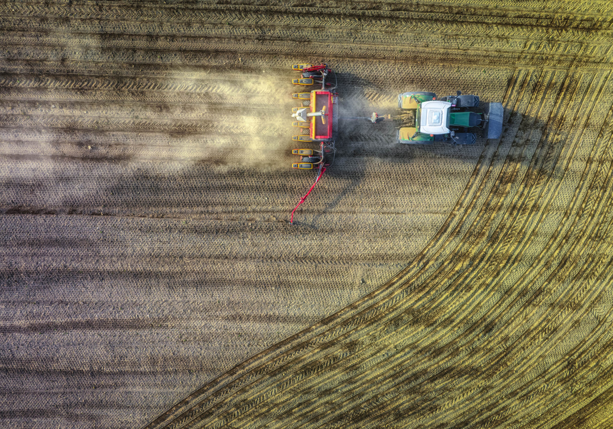 farming Poster och Canvastavla