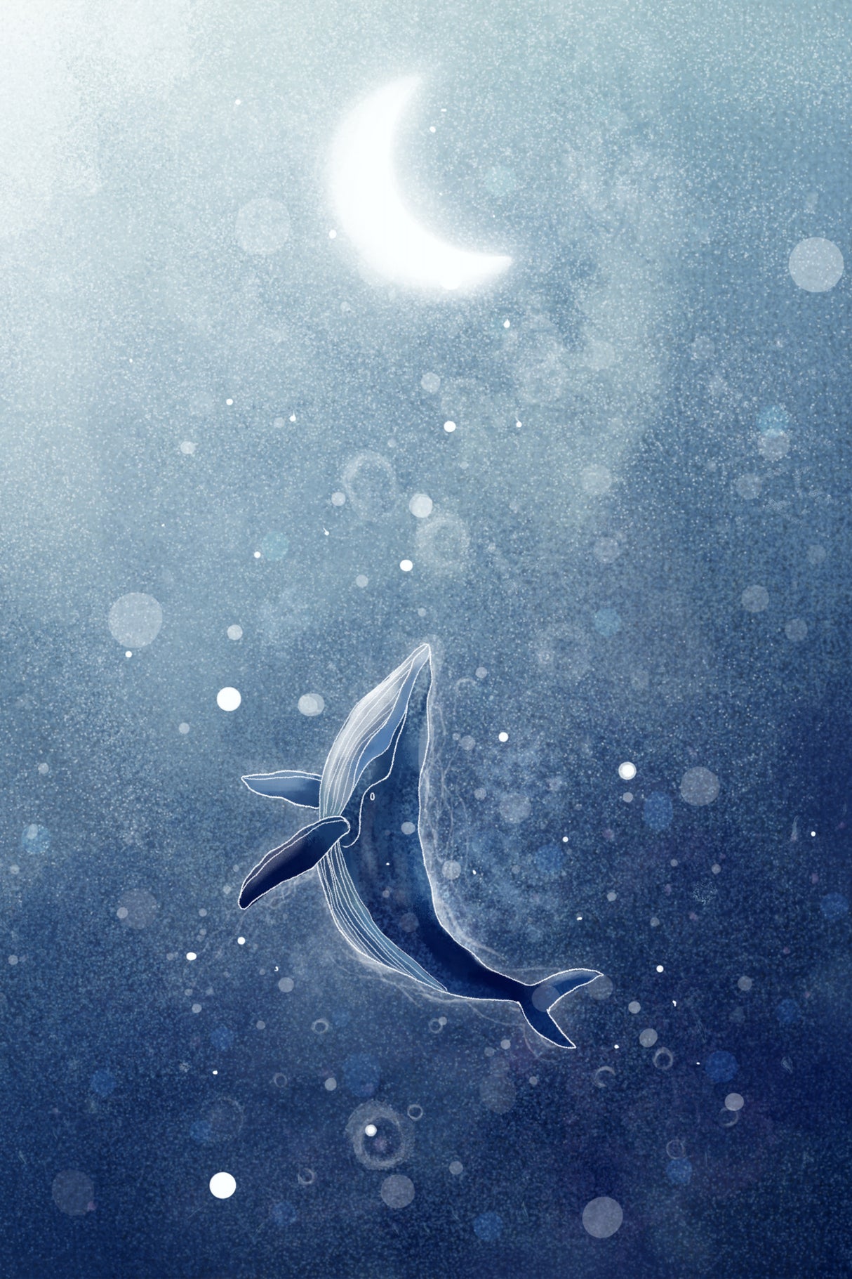 Galaxy Whale Poster och Canvastavla