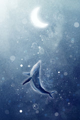 Galaxy Whale Poster och Canvastavla