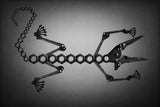 The lizard Poster och Canvastavla