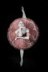 On Pointe Poster och Canvastavla