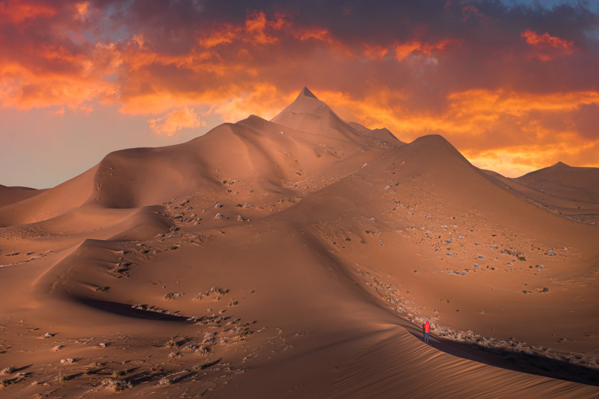 Exploring the desert Poster och Canvastavla
