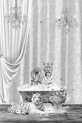 White Tigers &amp; Bubbles Black &amp; White Poster och Canvastavla