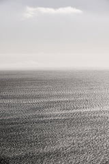 Carbon Seas Poster och Canvastavla