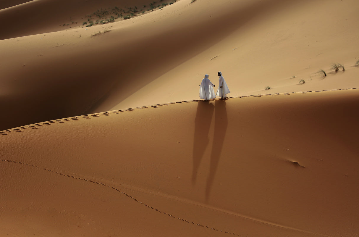 Meeting in the desert Poster och Canvastavla