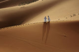 Meeting in the desert Poster och Canvastavla