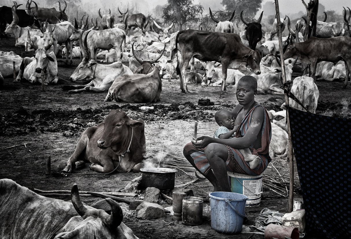 Mundari woman breastfeeding her child in a cattle camp - South Sudan Poster och Canvastavla