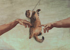 Touch of the Kitty Poster och Canvastavla