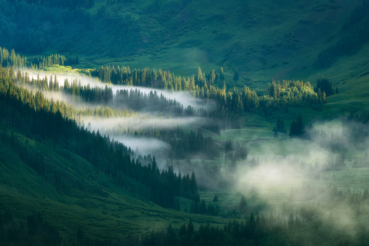 Foggy Valley Poster och Canvastavla