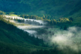 Foggy Valley Poster och Canvastavla