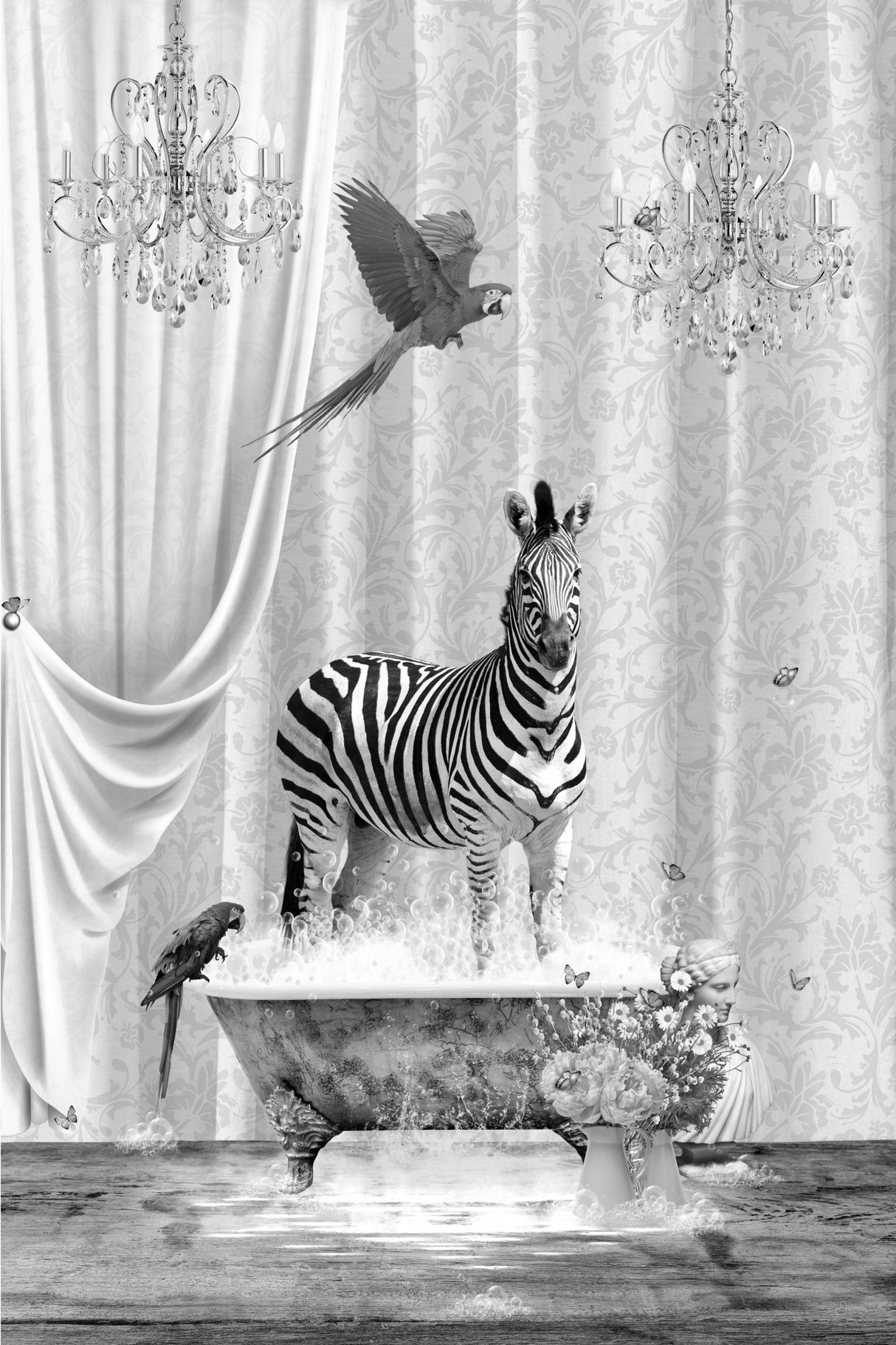 Zebra &amp; Bubbles Black &amp; White Poster och Canvastavla