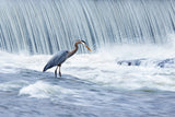 Fishing in stormy waters Poster och Canvastavla