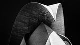 Shadow Poster och Canvastavla